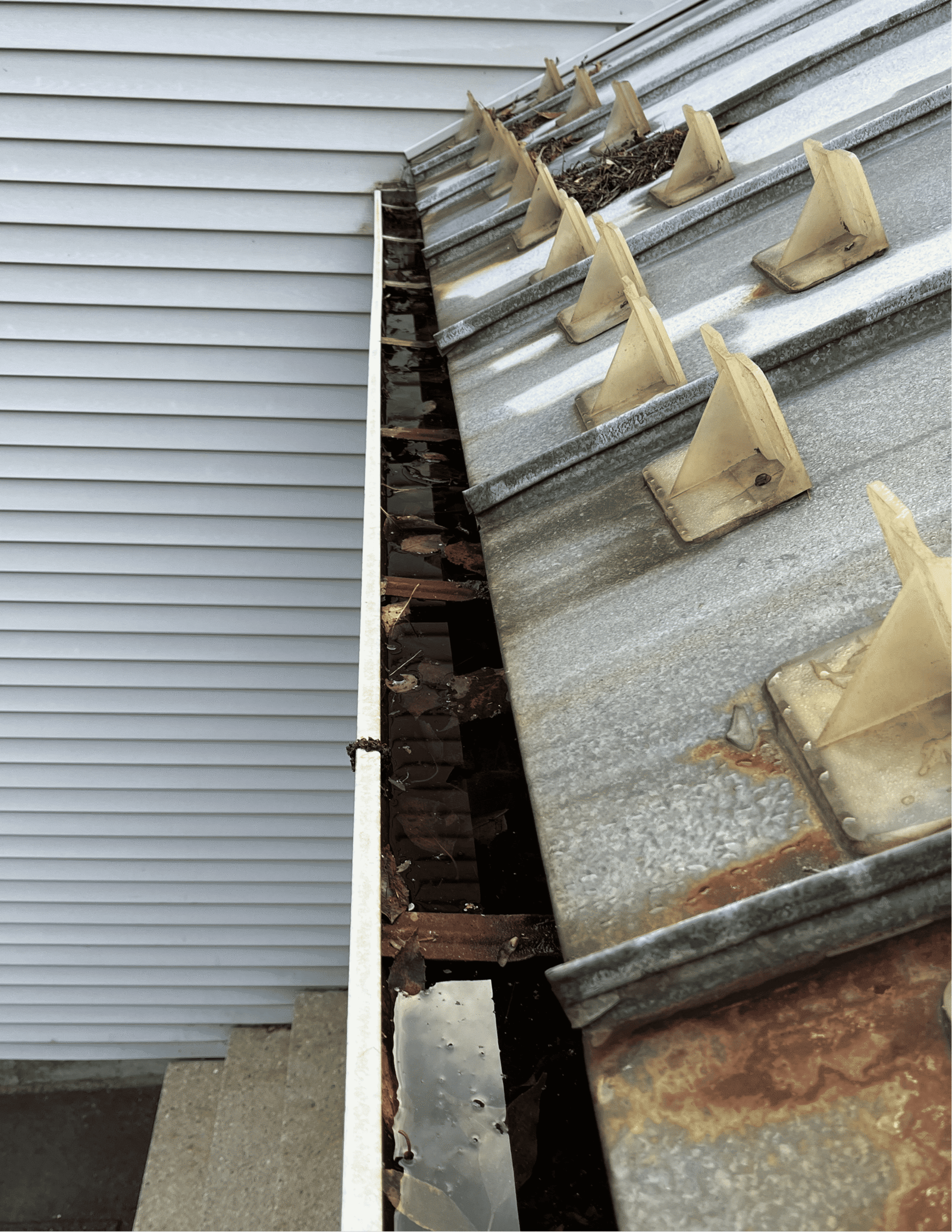 Before Gutter Cleaning