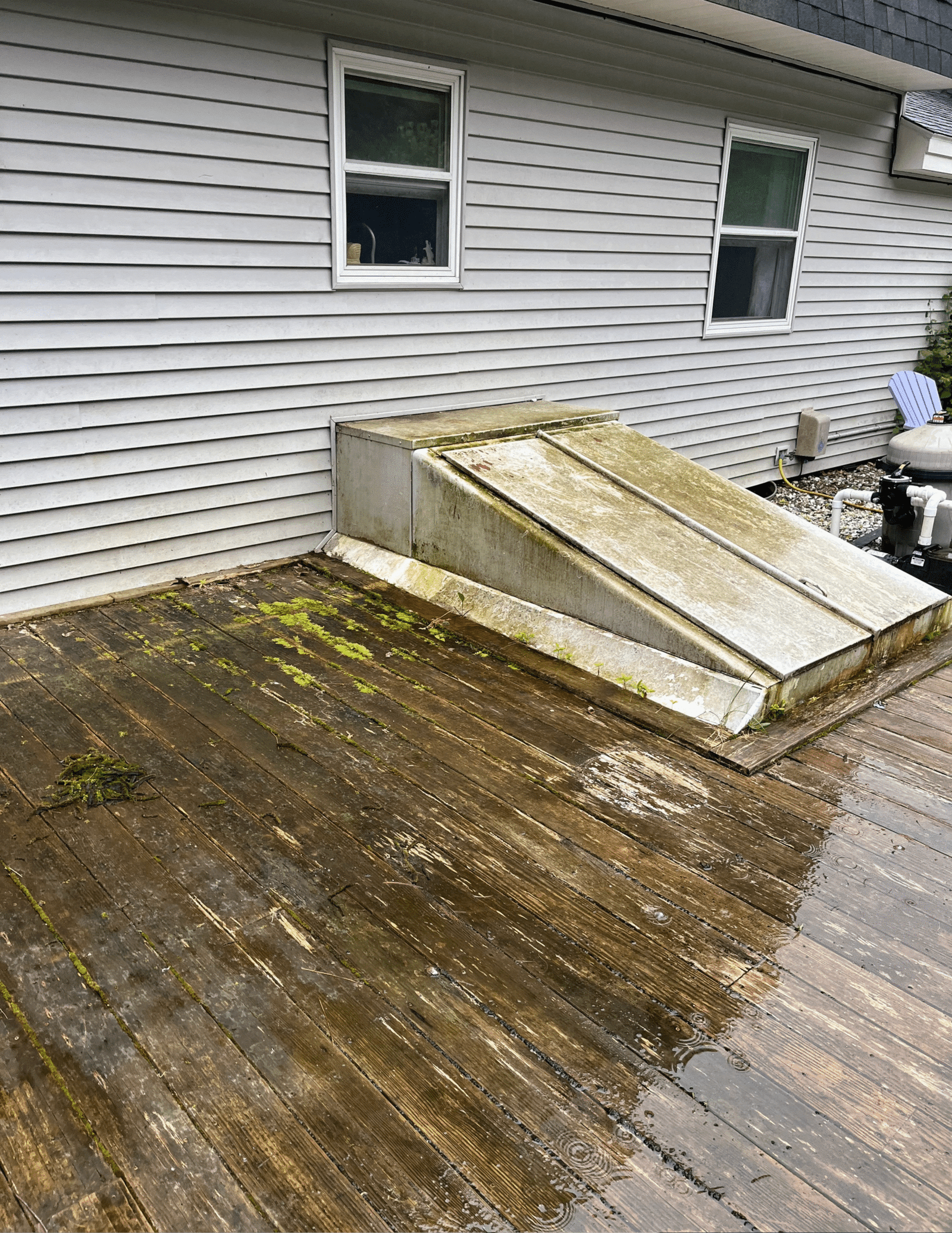 Pressure Wash Deck F71224 Nona Quirion (Vertical))