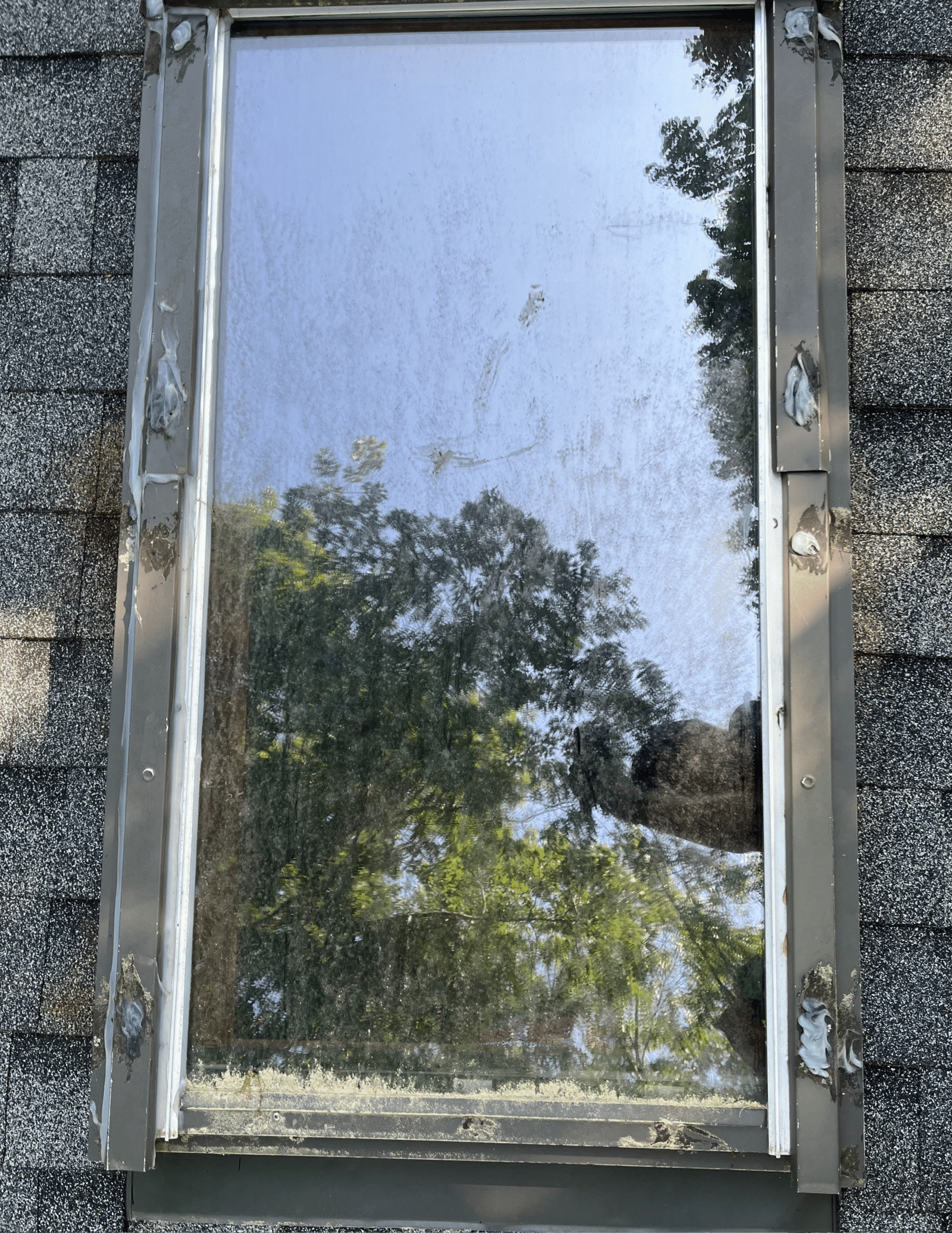 Window Cleaning R7623 Andrea Bickum (Vertical) (3)