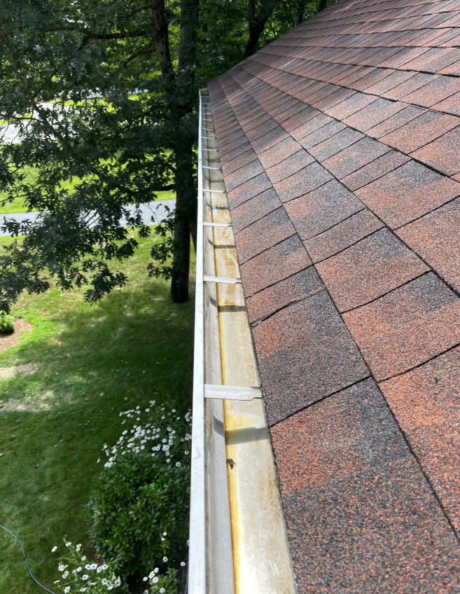 After Gutter Cleaning