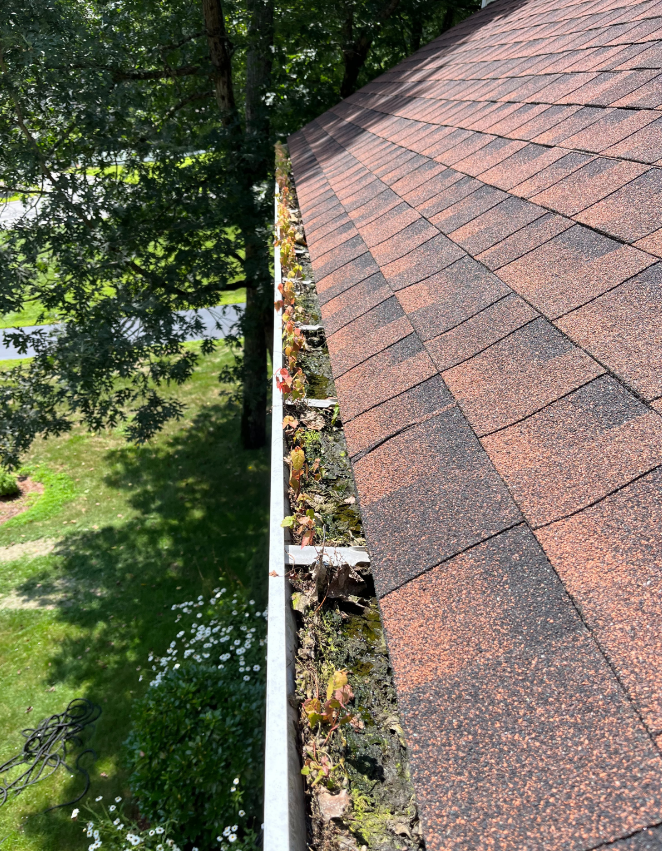 Gutter Cleaning Before