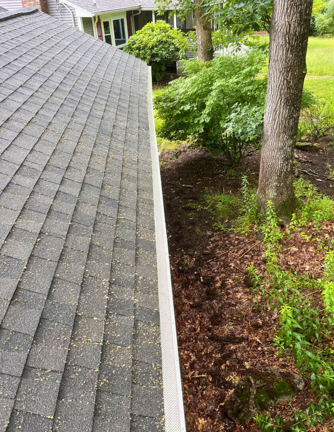 Roof Cleaning After Slider
