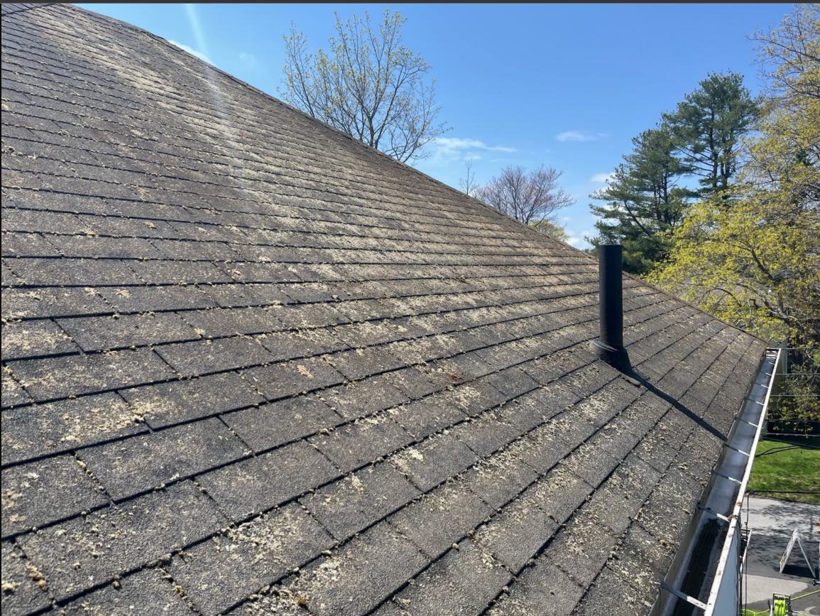 Roof Cleaning After