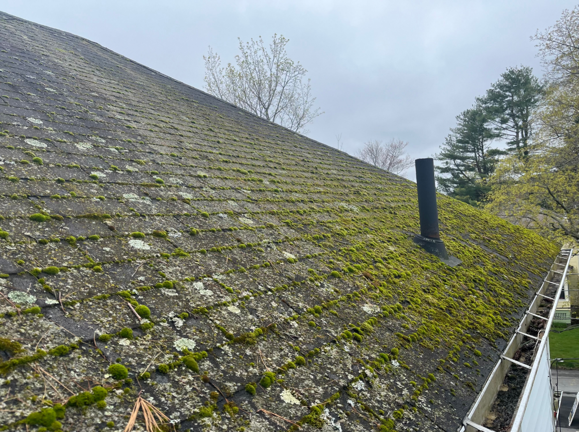 Roof Cleaning Before