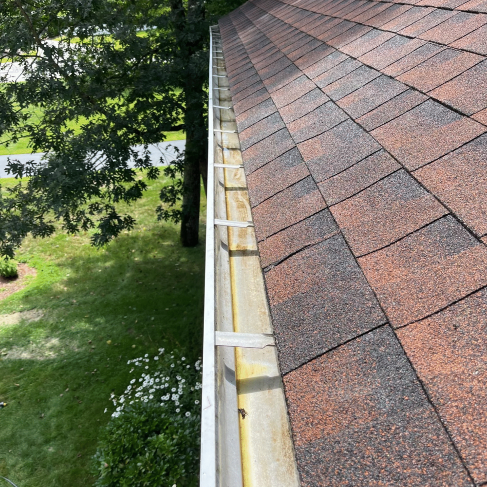 M73123 Kim Diggins (Vertical) (4)